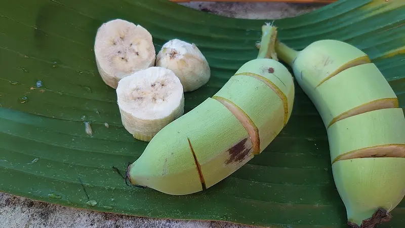 Green unripe banana with the peel slit and pale slices cut from it